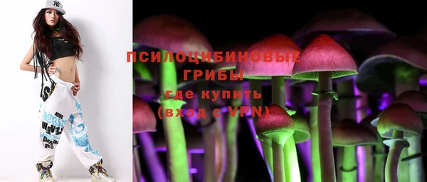 мдпв Всеволожск
