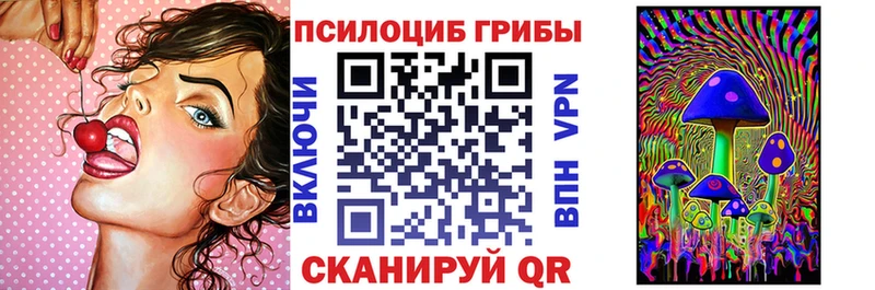 Галлюциногенные грибы Psilocybine cubensis как найти закладки Бакал